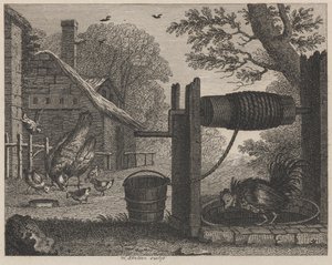 Den gamle høna og hanen