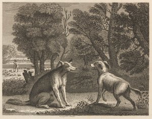 Gjeterens hund og ulven
