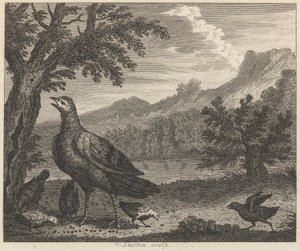 Tyrkia og mauren av William Skelton