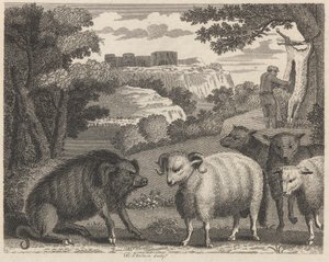 Villsvinet og væren av William Skelton