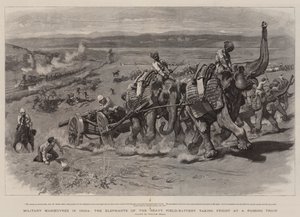 Militære manøvrer i India, Elephants of the Heavy Field-Battery tar skrekk ved et forbipasserende tog