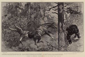 Tatt av overraskelse, Bear-Shooting på en Indian Hill Station