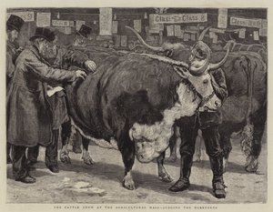 Storfeutstillingen i Landbrukshallen, dømme Herefords