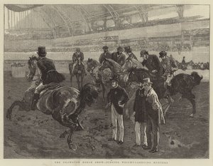 Islington Horse Show, dømmer vektbærende jegere