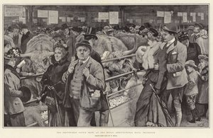 Smithfield Club's Show i Royal Agricultural Hall, Islington
