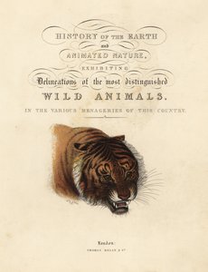 Kalligrafisk tittelside med vignett av tiger av William Smellie