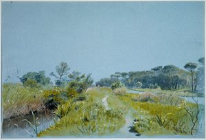 Castel Fusano - nær Roma av William Stanley Haseltine