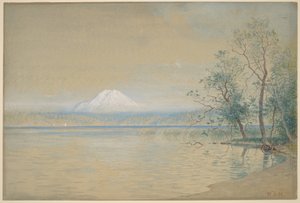  av William Stanley Haseltine