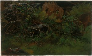Studie fra naturen av William Stanley Haseltine