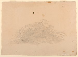 Studie av løvverk av William Stanley Haseltine