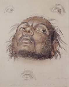 Studie av et østindisk hode, ca. 1875 (fargestift og vask på papir) av William Strutt