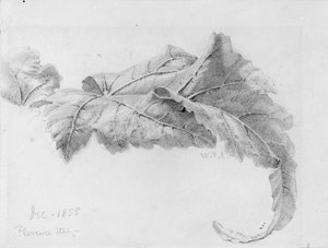 Blader av William Trost Richards