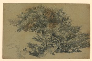Studie av løvverk av William Trost Richards
