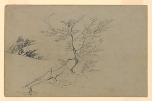 Studie av løvverk av William Trost Richards