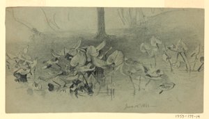 Studie av løvverk av William Trost Richards