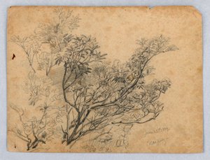 Studie av løvverk av William Trost Richards