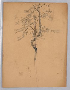 Studie av løvverk av William Trost Richards