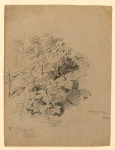 Studie av løvverk av William Trost Richards