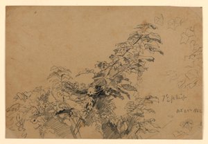 Studie av løvverk av William Trost Richards