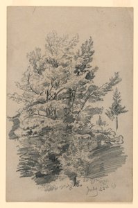 Studie av løvverk av William Trost Richards
