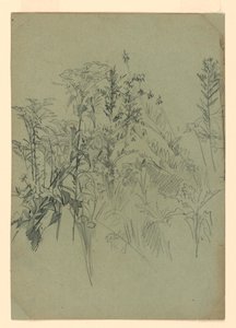 Studie av løvverk av William Trost Richards
