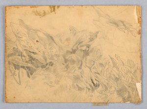 Studie av løvverk av William Trost Richards