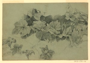 Studie av løvverk av William Trost Richards