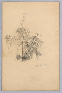 Studie av løvverk av William Trost Richards