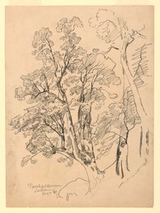 Studie av løvverk, Trachselwald, Bern, Sveits av William Trost Richards