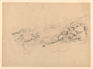 Studie av løvverk, Trachselwald, Bern, Sveits av William Trost Richards
