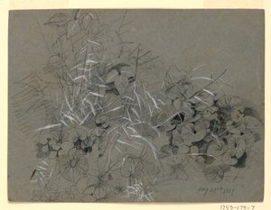 Studie av fiolette blader og gress av William Trost Richards