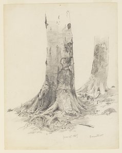 Trestammer, Darmstadt av William Trost Richards