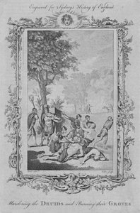 Murdering the Druids and Burning their Groves, 1773.