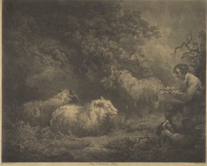 Shephard-gutten av William Ward