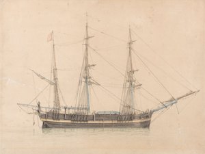 Hvalfangeren "Truelove" av Hull av William Ward