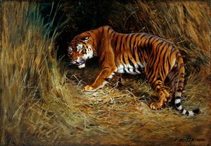 A Prowling Tiger (olje på lerret lagt om bord)