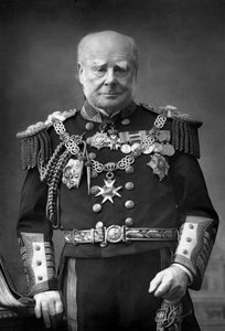 Admiral of the Fleet Sir Henry Keppel 1809-1904, 1893. av William and Daniel Downey