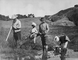 India: Snipejakt, 1870