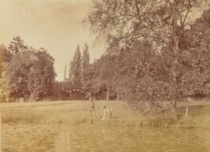  av Willoughby Wallace Hooper