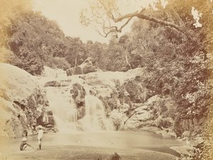  av Willoughby Wallace Hooper