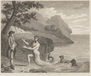 Courtier og Proteus