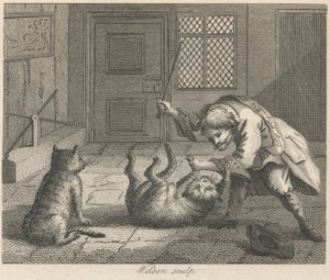 Rottefangeren og kattene
