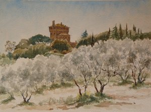 883 Pal Massaini, nr Pienza av Wilson Clive