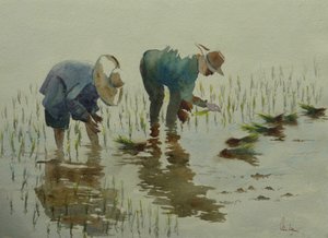 885 Planting av ris av Wilson Clive