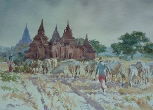 928 Bagan, hjemvendt gjeting av Wilson Clive