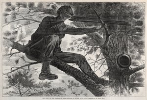  av Winslow Homer