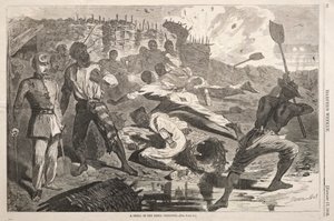  av Winslow Homer
