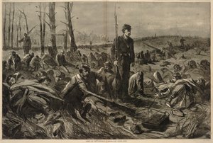  av Winslow Homer