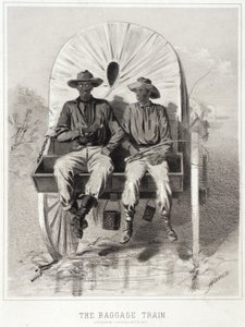  av Winslow Homer