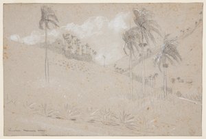 Cuban Hillside av Winslow Homer